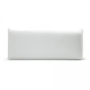 ALMOHADA VISCOLASTICA ALOE VERA